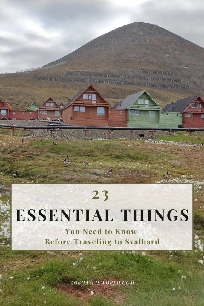 23 Essential Things You Need to Know Before Traveling to Svalbard