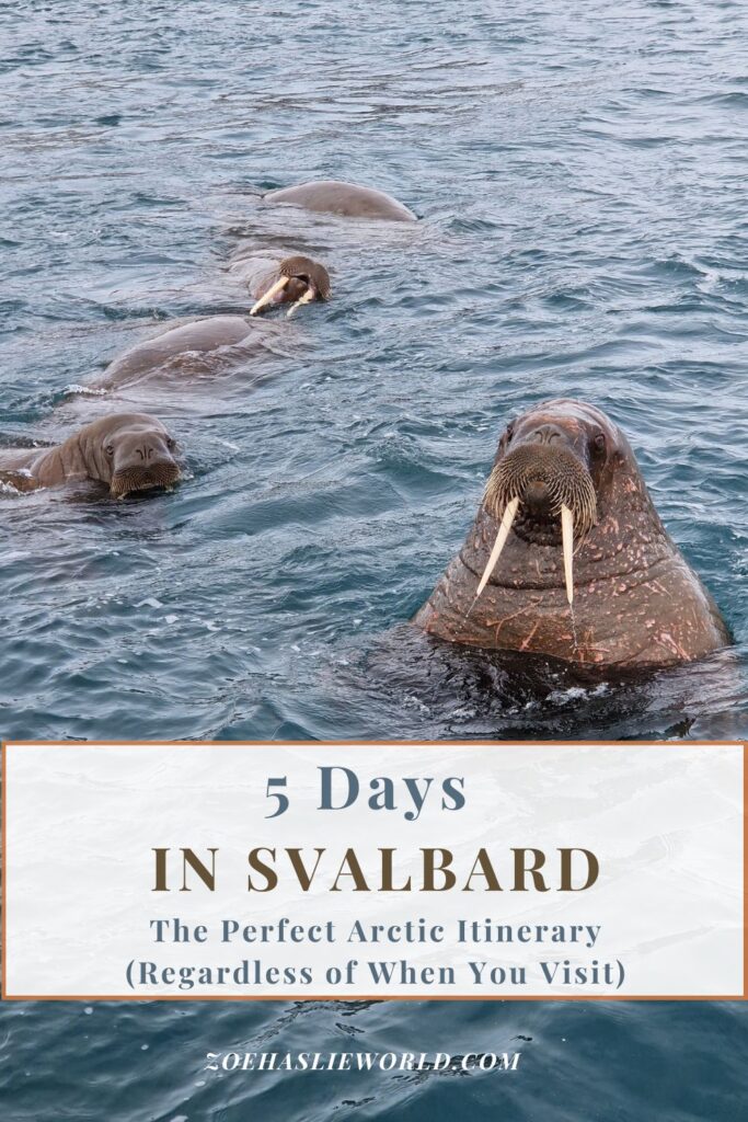 5 Days in Svalbard: The Perfect Arctic Itinerary (Regardless of When You Visit)