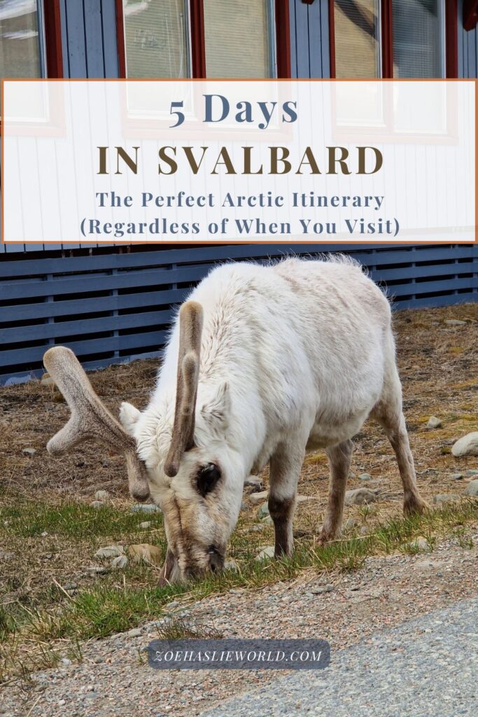 5 Days in Svalbard: The Perfect Arctic Itinerary (Regardless of When You Visit)