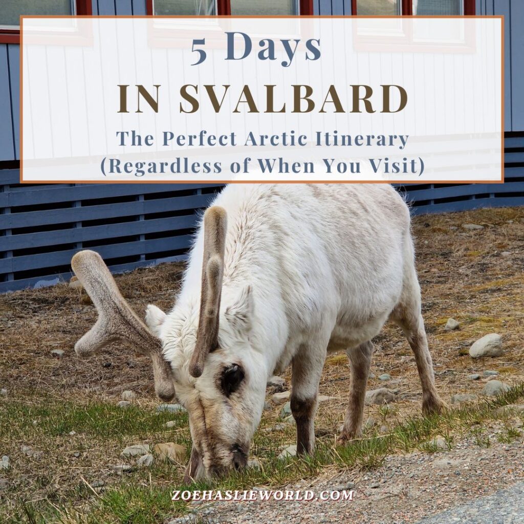 5 Days in Svalbard: The Perfect Arctic Itinerary (Regardless of When You Visit)