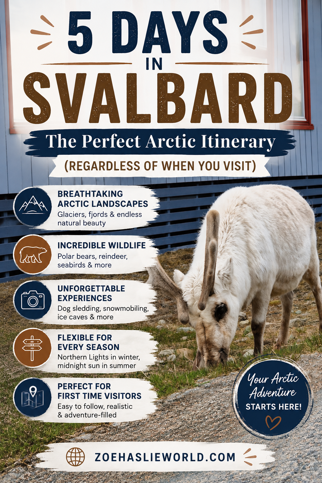5 Days in Svalbard The Perfect Arctic Itinerary (Regardless of When You Visit)