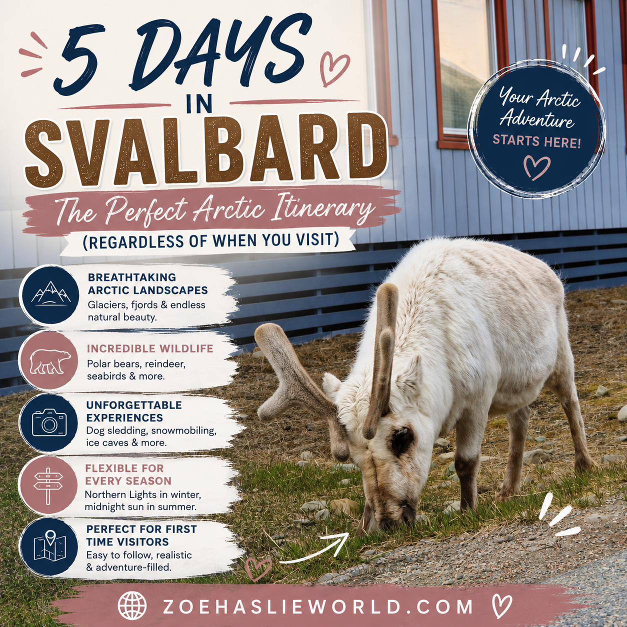 5 Days in Svalbard: The Perfect Arctic Itinerary (Regardless of When You Visit)