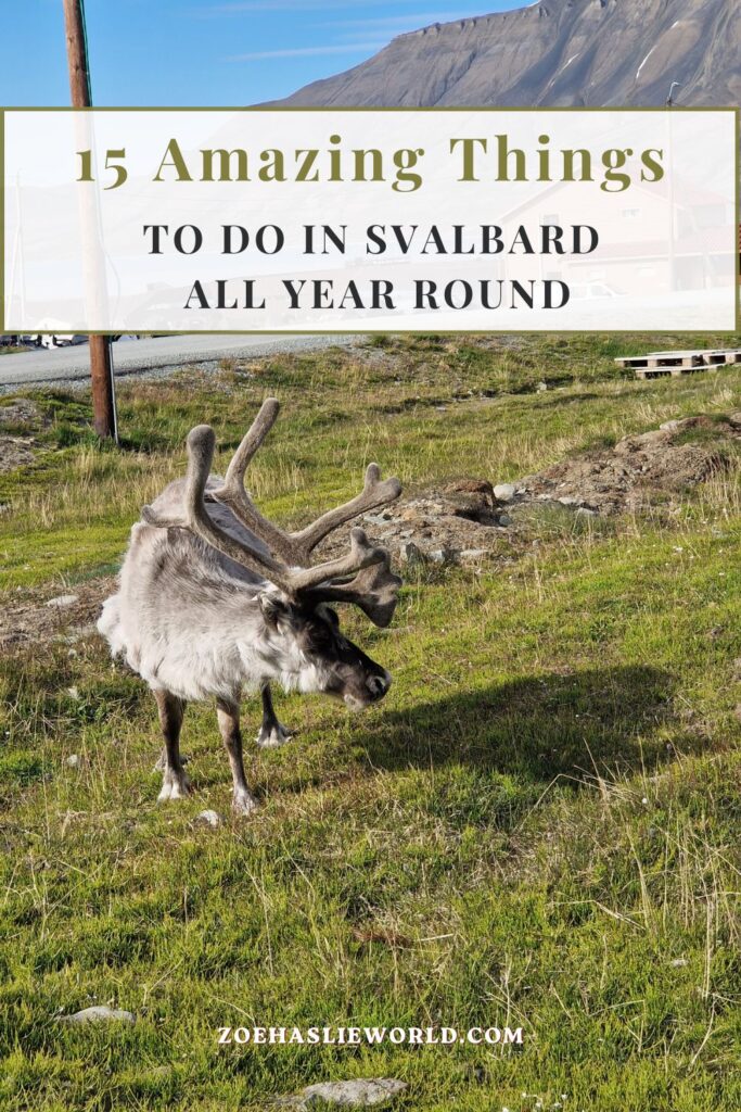15 Amazing Things to Do in Svalbard All Year Round