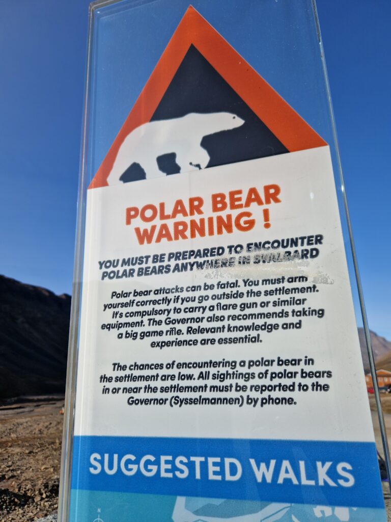 Polar Bear Warning