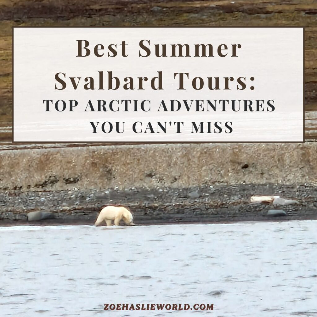 Best Summer Svalbard Tours: Top Arctic Adventures You Can't Miss