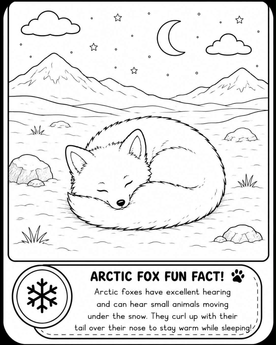 Svalbard Wildlife: Bold & Easy Coloring Book (Printable PDF) - Image 4