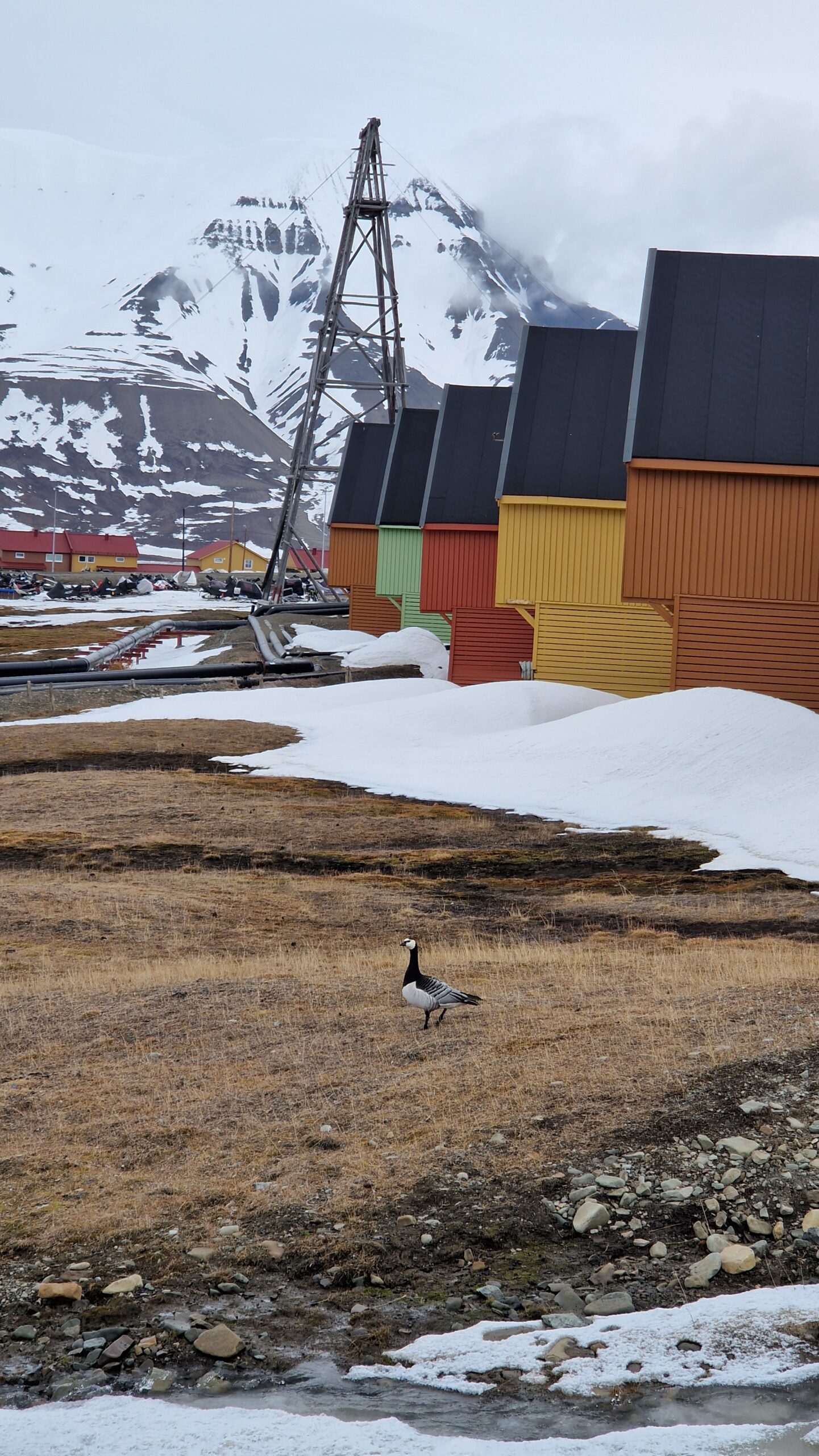 Longyearbyen, Svalbard