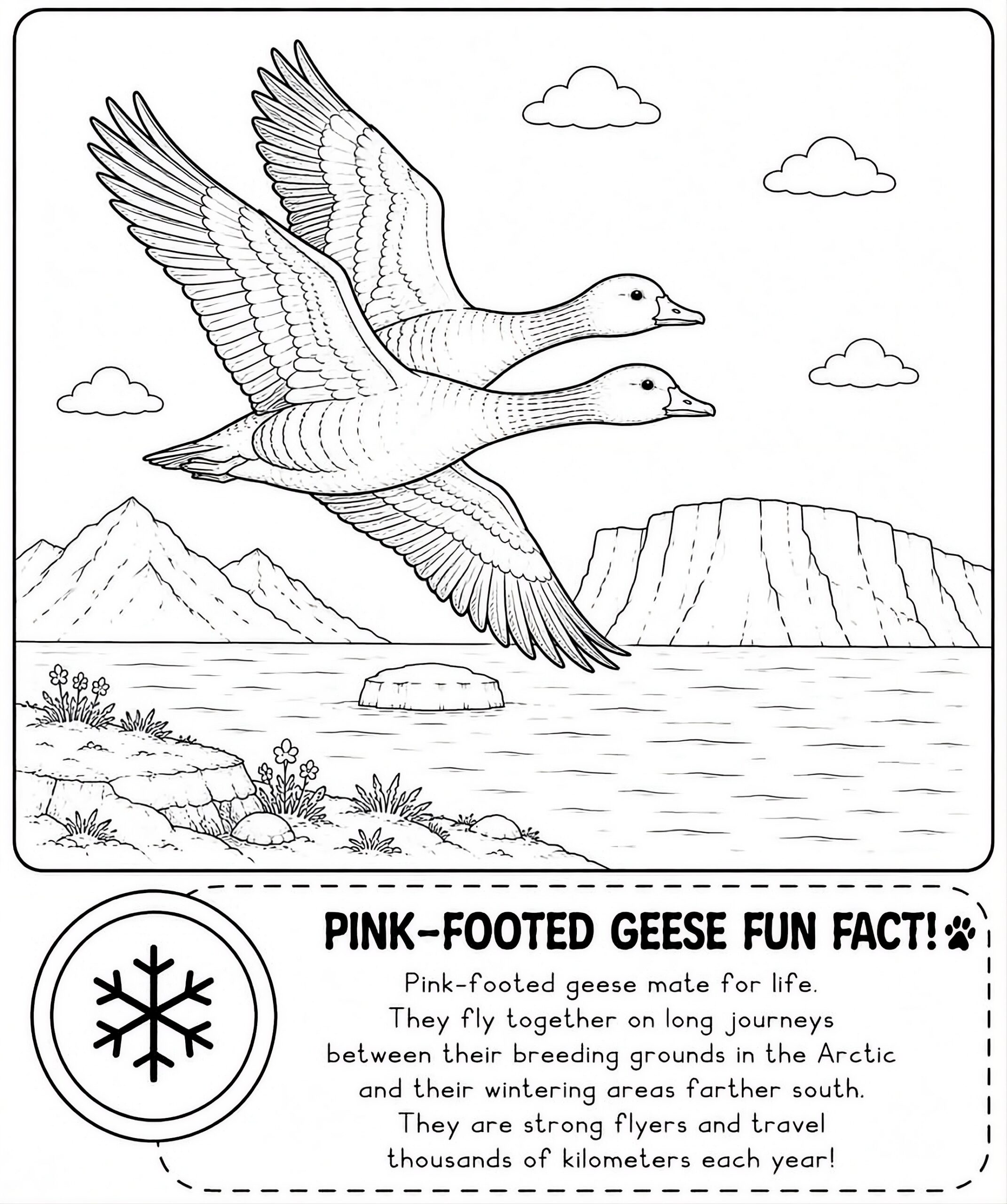 Svalbard Wildlife: Bold & Easy Coloring Book (Printable PDF) - Image 7