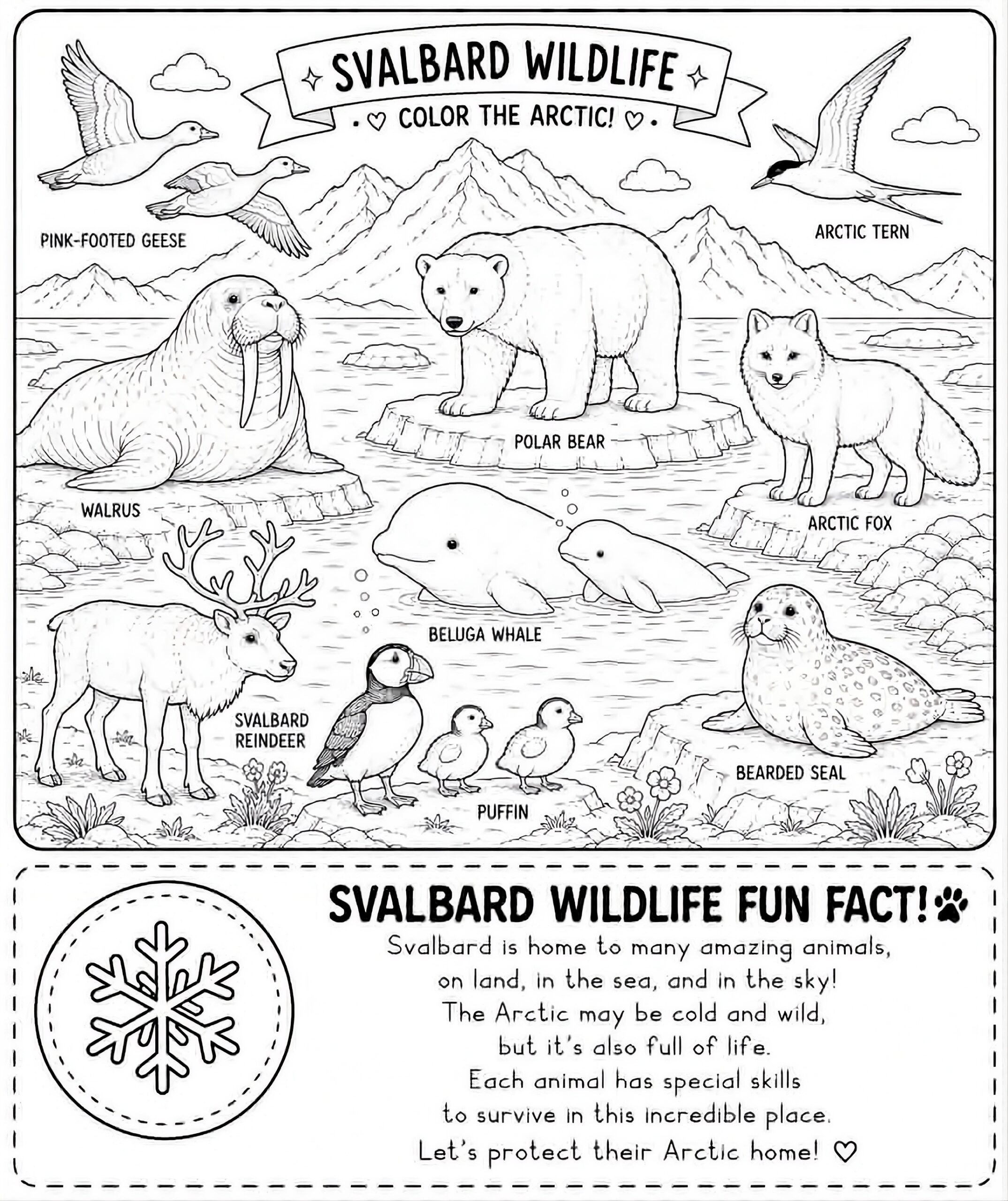 Svalbard Wildlife: Bold & Easy Coloring Book (Printable PDF) - Image 9