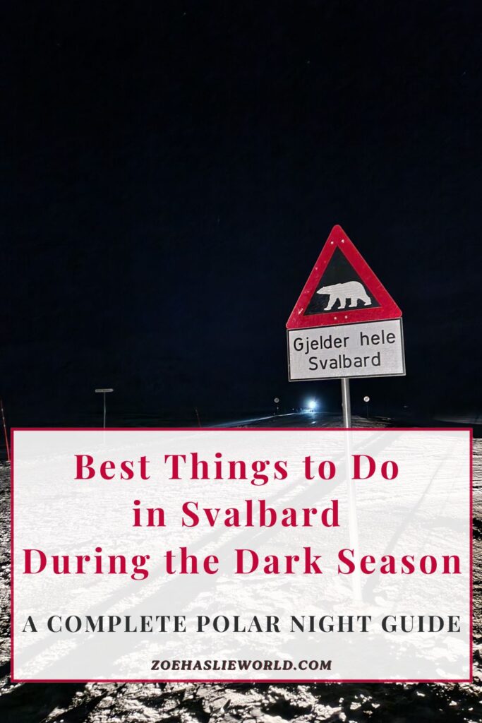Best Things to Do in Svalbard During the Dark Season: A Complete Polar Night Guide